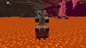 预览图 5