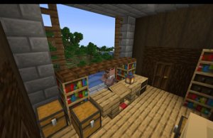 预览图 12