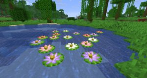 预览图 4