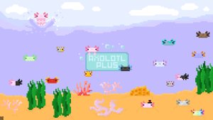 预览图 20