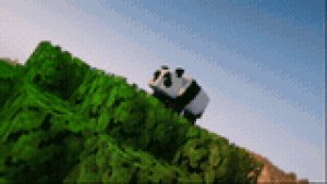 预览图 2