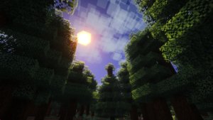 预览图 2