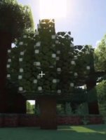 预览图 1