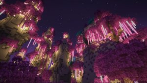 预览图 1