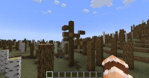预览图 2