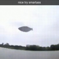 预览图 1