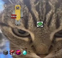 预览图 2