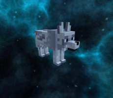 预览图 2