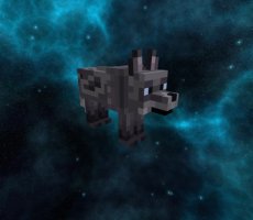 预览图 4