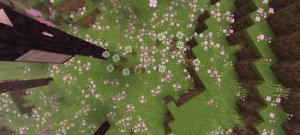 预览图 1
