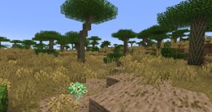 预览图 56