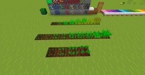 预览图 5