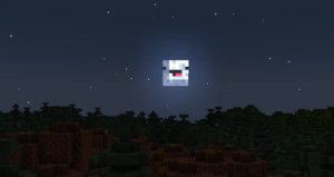 预览图 2