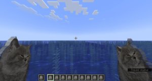 预览图 2