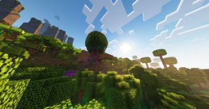 预览图 11