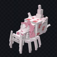 预览图 9
