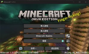 预览图 1