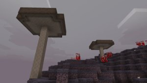 预览图 11