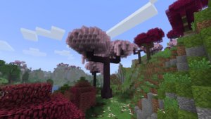 预览图 3