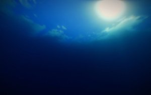 预览图 5