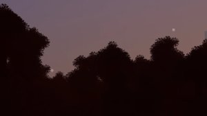预览图 2