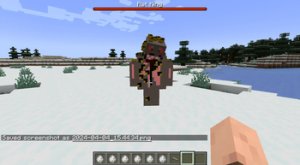 预览图 9