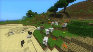 预览图 7