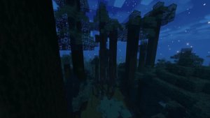 预览图 2