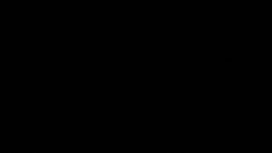 预览图 1