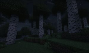 预览图 1