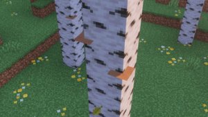 预览图 6