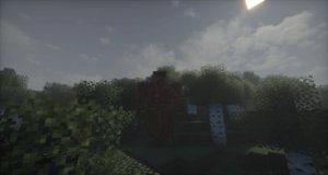 预览图 12