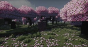预览图 15