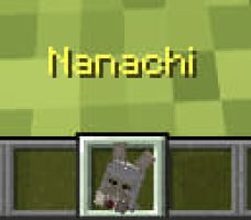预览图 4