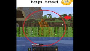 预览图 1