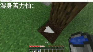 预览图 2