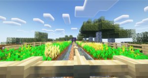 预览图 12