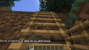 预览图 1