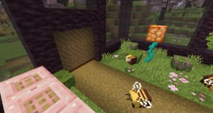 预览图 2