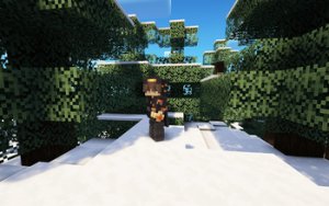 预览图 1