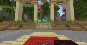 预览图 4