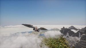 预览图 10