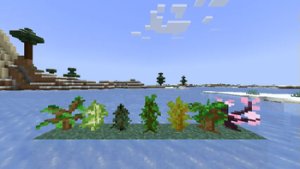 预览图 2