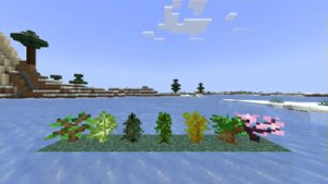 预览图 1