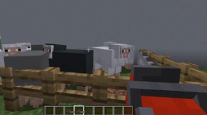 预览图 4