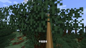 预览图 2
