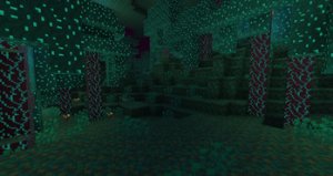 预览图 12
