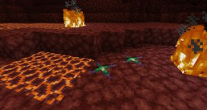 预览图 3