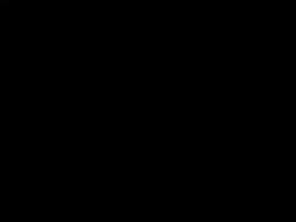 预览图 2