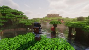 预览图 12